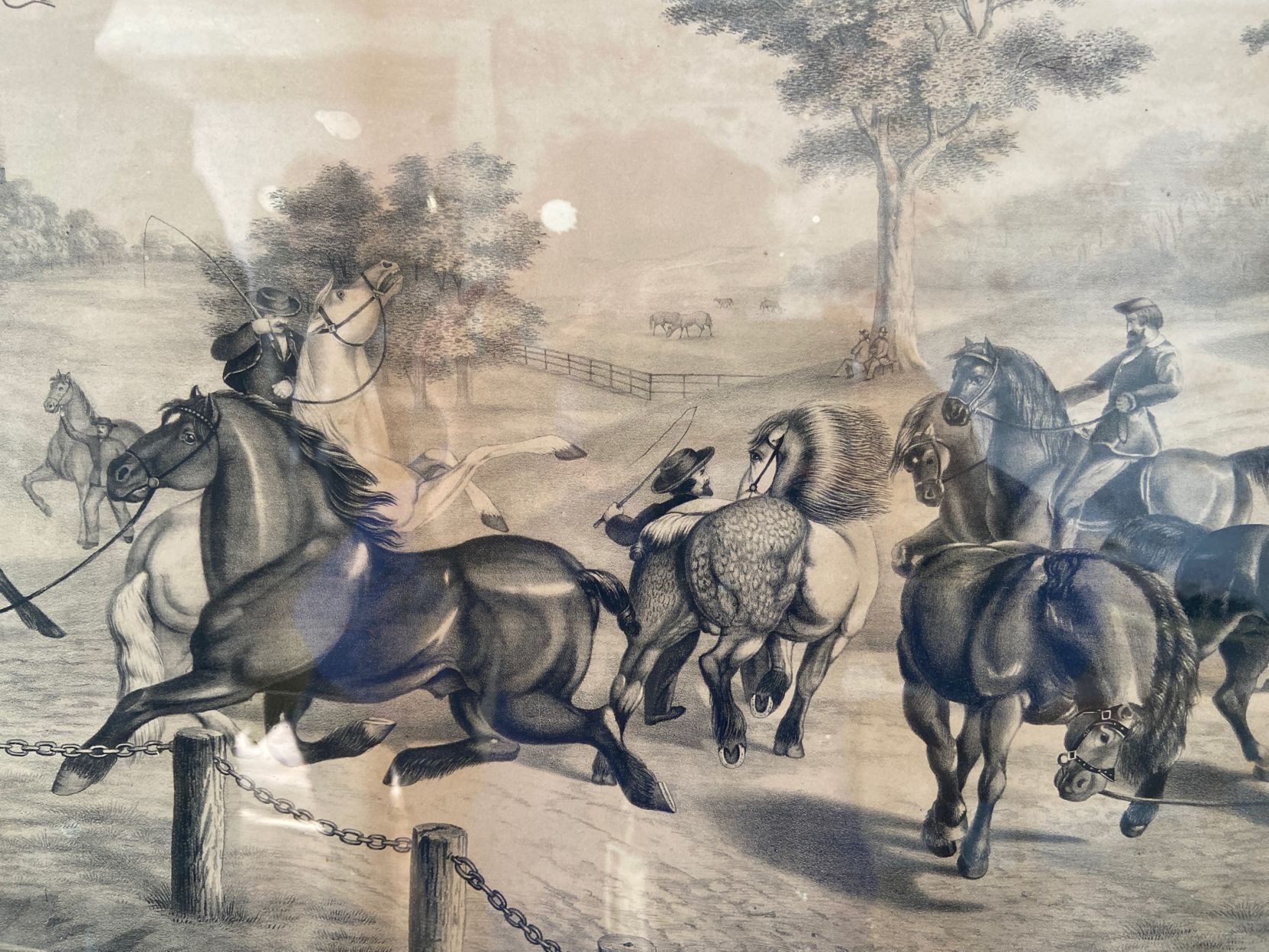 horses-2